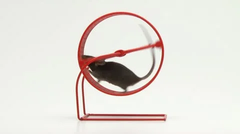 Mouse,humorous series Stock-Footage 22112852