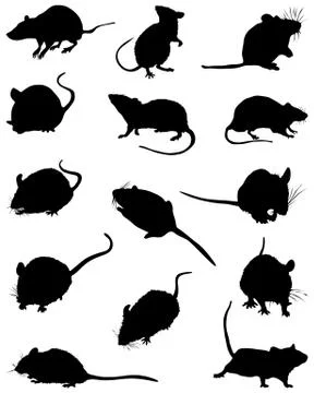 Mouses Stock Illustration