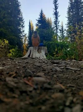 A Mouse's View Stock Photos