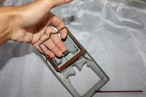 Mousetrap accident Stockfoto's