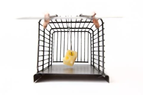 Mousetrap with cheese Stock Photos