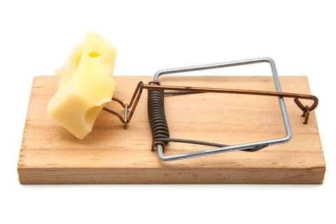 Mousetrap with cheese Stock Photos