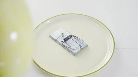 Mousetrap on a dish Stock Footage 133537793