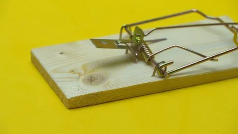 Mousetrap, female hand puts note next to her with words "contribution". Vídeo Stock 123735910