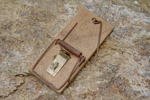 Mousetrap Stock Photos