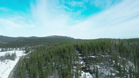 Moutain between trees Stock Footage 244251639