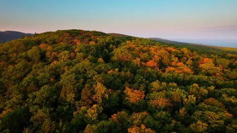 Moutain Forest Stock-Footage 331104150