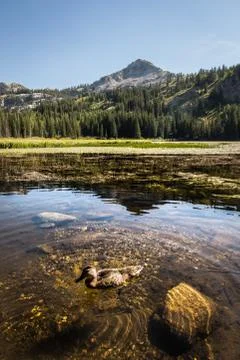Moutain Lake Reflection Foto stock
