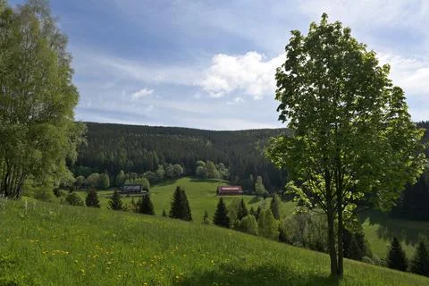 Moutain meadows Stock Photos