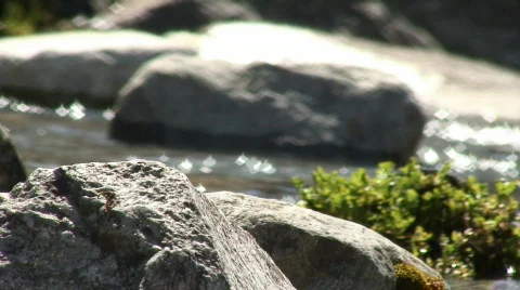 Moutain' river with depth of field changing Stock Footage 114130