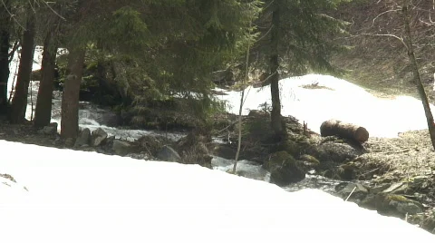 Moutain' river in the snow Stock Footage 114127