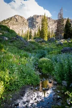 Moutain Stream Foto stock