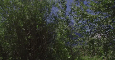 Moutain view Stock Footage 246824125