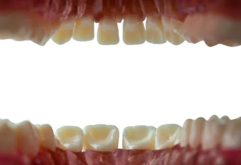 Mouth and teeth - inside view Stock Photos