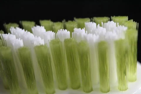 Mouth brush teeth toothpaste cleaning hygiene care 写真素材