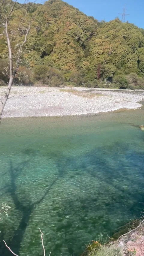 Mouth of a mountain river Stock Footage 296999021