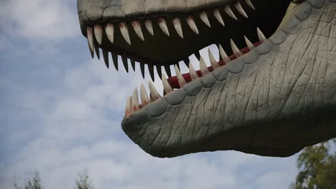 Mouth with sharp teeth of predatory model closeup. Stock Footage 310008475