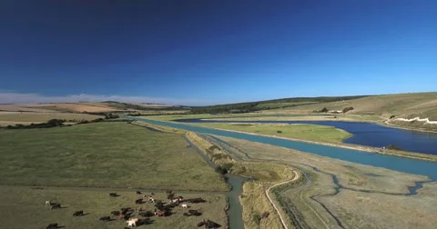 The mouth of a small river Stock Footage 67121582