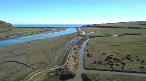 Mouth of a small river Stock Footage 67419265
