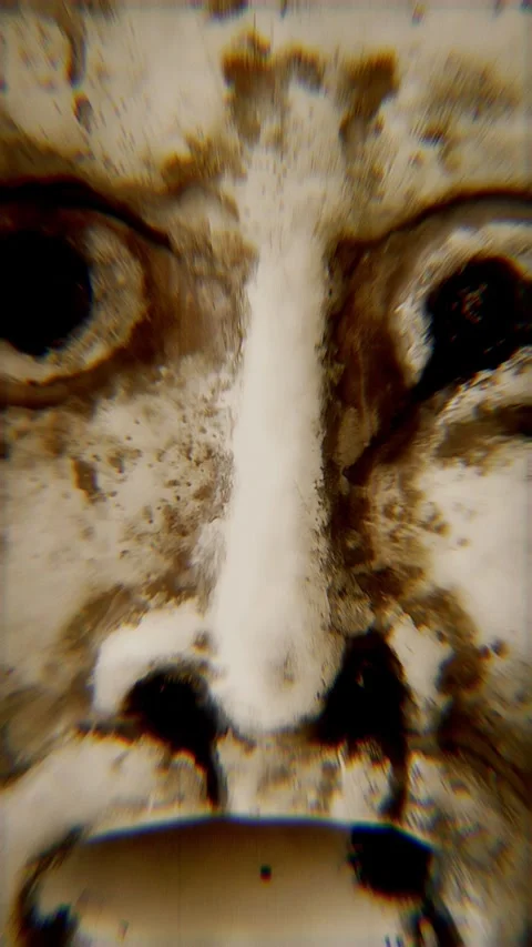 Mouth of Truth nightmare motion Stock Footage 338165646
