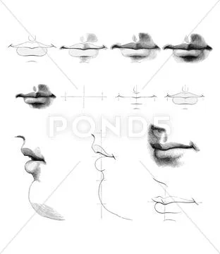 Mouths, artwork Stock Illustration