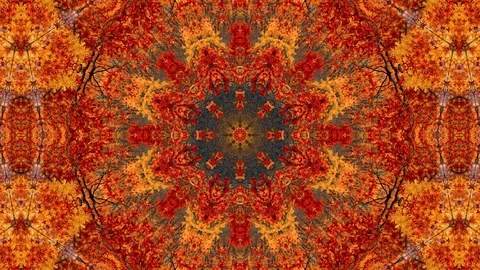 Mov 38 Video stock 122306344