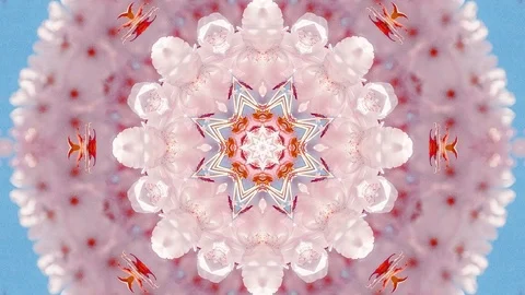 Mov 48 Video stock 122308860