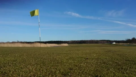 MOV 5877- Stock Footage 142612043