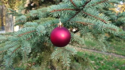 MOV 9148 child decorates the tree with balls Stock Footage 143924239
