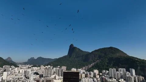 [MOV] of Corcovado Above Botafogo Rooftops, Rio de Janeiro Vídeo Stock 344715244