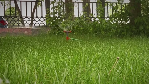 A movable irrigation tool is installed on the lawn of the garden. The rotating Stock Footage 198373886
