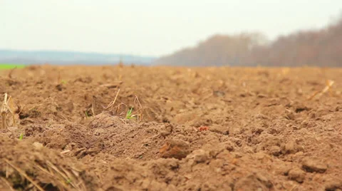 Move across the field,man walking on the ground (dirt) Vidéo 36691725