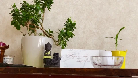 Move Along Table. view moves along a decorated table with plant Stock Footage 127584643