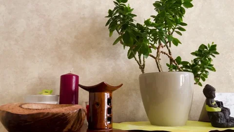 Move Along Table. view moves along a decorated table with plant Stock Footage 127584674