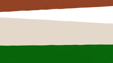 Move up and down. Transition video material. Two types in different colors. 動画素材 150494395