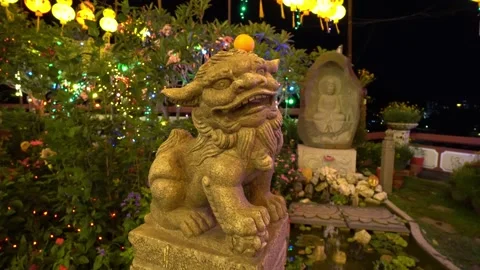 Move and tracking lion statue at night Stock Footage 197010982