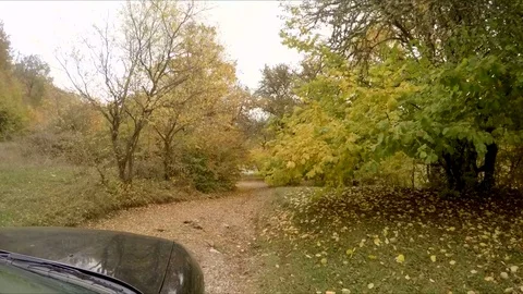 Move on the autumn road Stock Footage 80987205