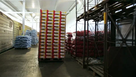 Move boxes with fruits on loading machine. After unloading wagon of train bags o Stock Footage 199486879