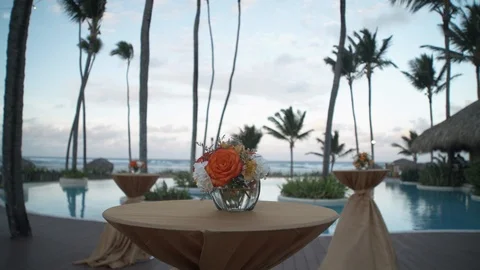 Move by flowers on tables Stock Footage 113388211