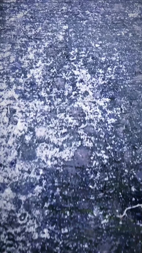 Move Stock Footage 296369000