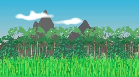 Move in the forest Video stock 9484340