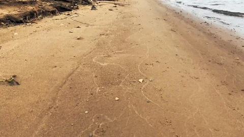 Move forward along beautiful beach. Resort island area. Popular beach. Long  Video stock 116806973