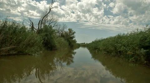 Move forward along the river Stock Footage 56564346