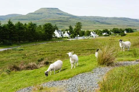 Move on the Isle of Skye Stock Photos