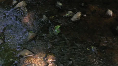 MOVE OVER BROOK Stock Footage 195881743