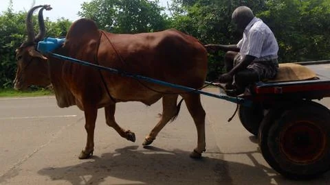 On the move Stock Photos