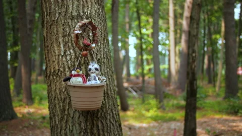Move In To Spooky Dolls Hanging on Tree Video stock 157880774