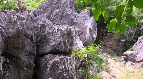 Move through the stones and forest. Slider. Thailand. Stock Footage 34619916