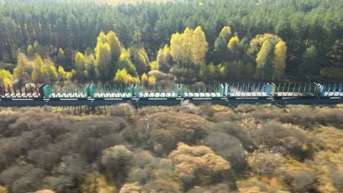 Move together chase the freight train ride through vibrant autumn landscape Stock Footage 306300670