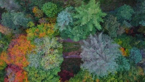 Move up from track Stock Footage 319573713